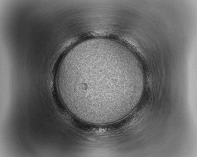 X0000096440687200802141452