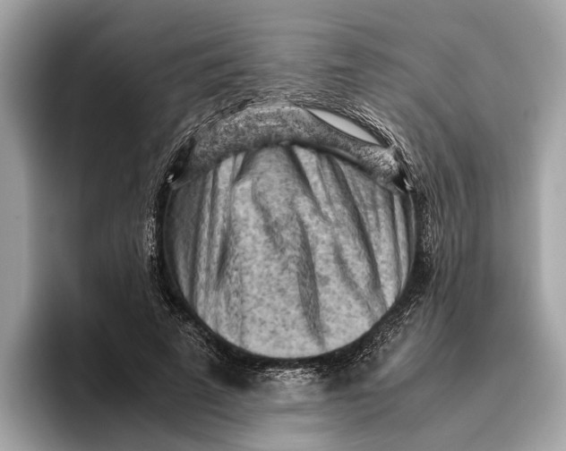 X0000096440689200802141452