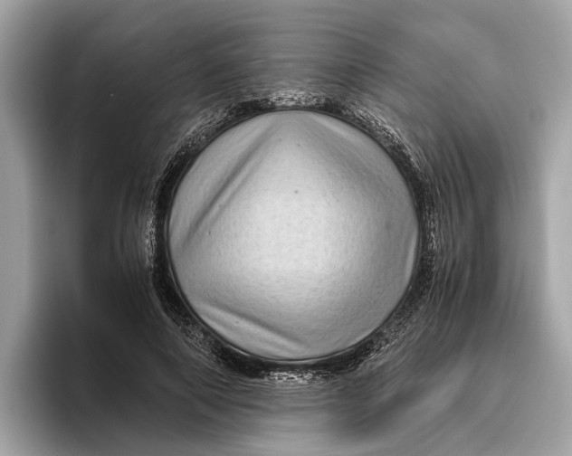 X0000096440690200802141452