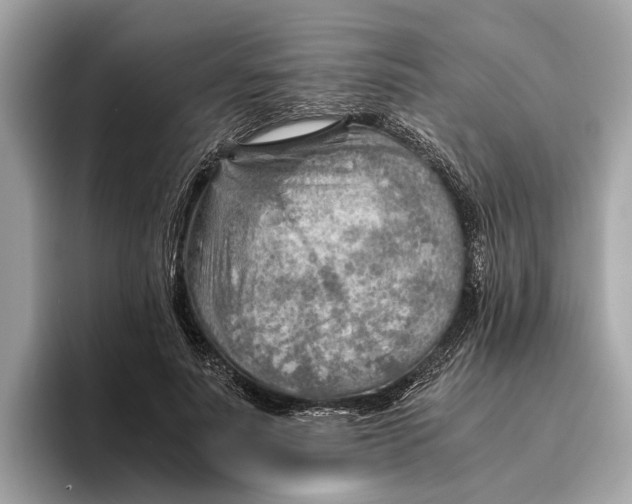 X0000096440691200802141452