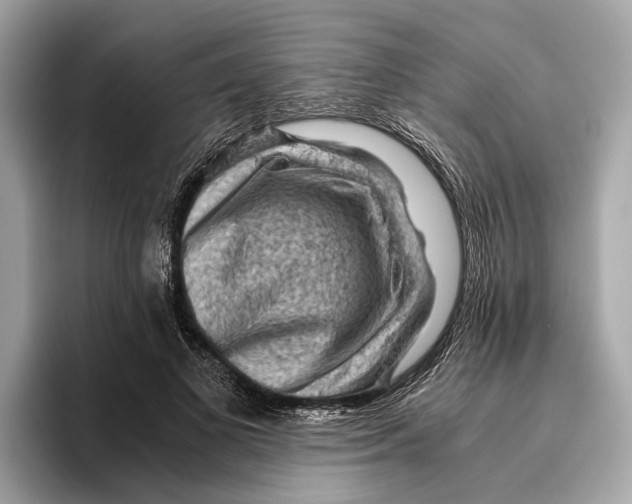 X0000096440693200802141452