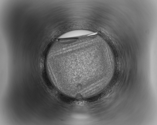 X0000096440695200802141452