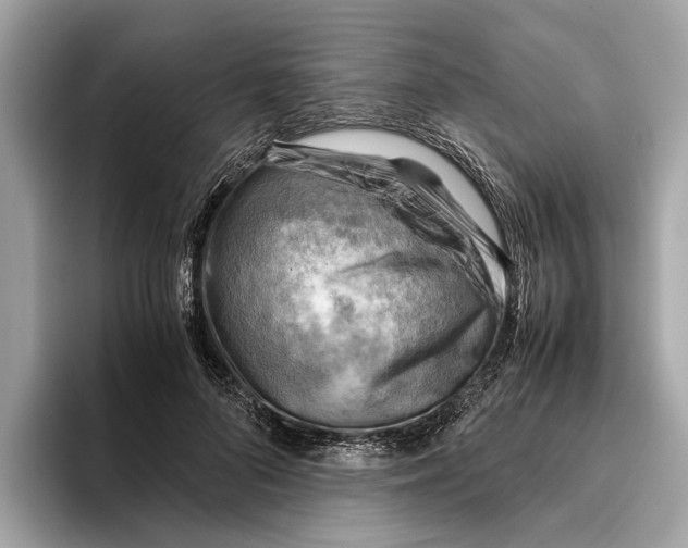 X0000096440696200802141452