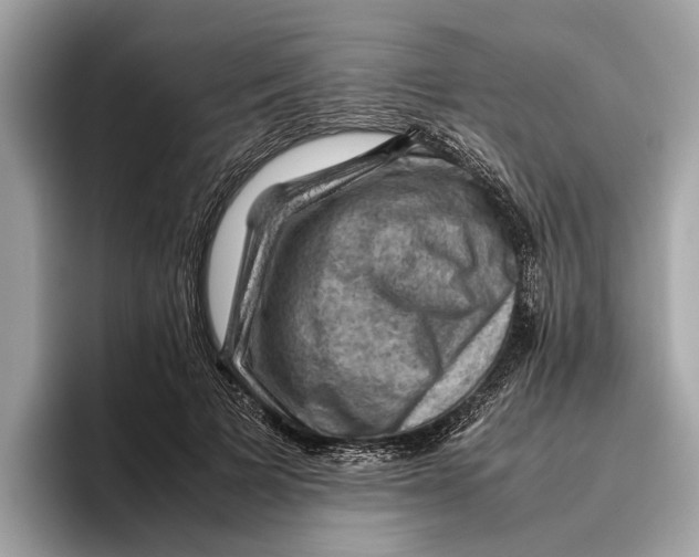 X0000096440697200802141452