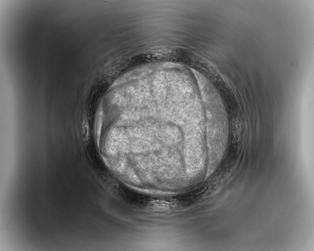 X0000096440703200802141452