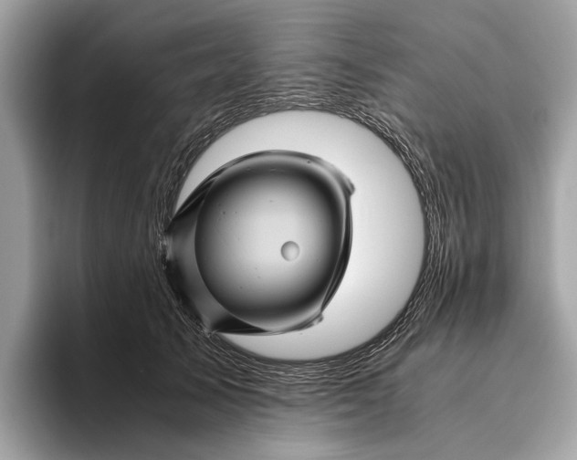 X0000096440705200802141452