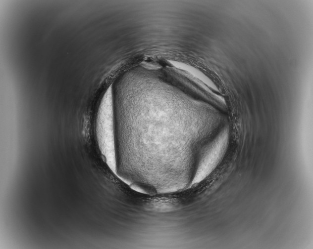 X0000096440708200802141452