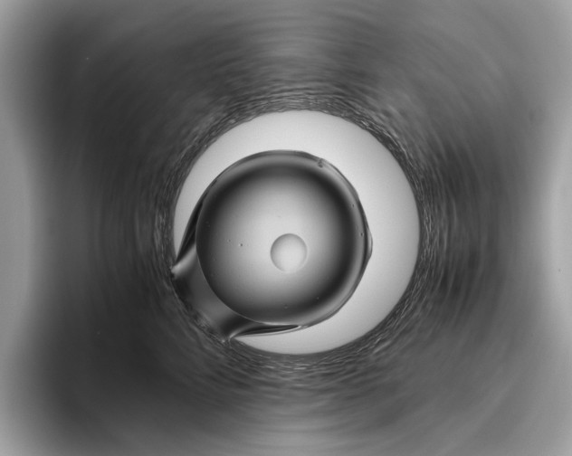 X0000096440712200802141452