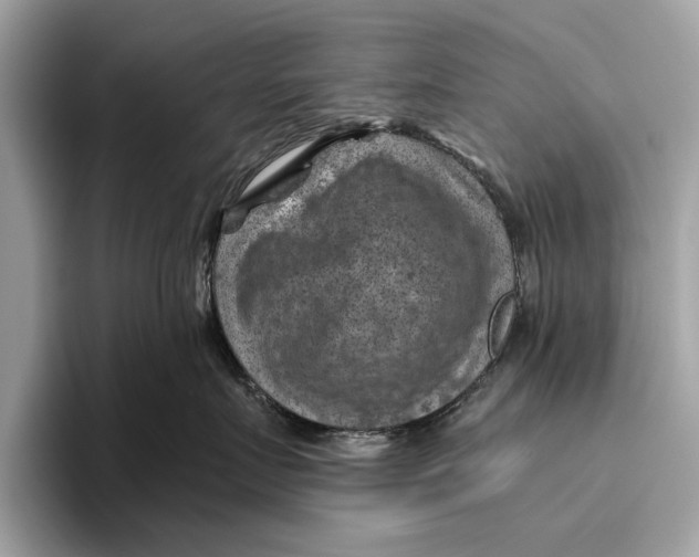 X0000096440719200802141452