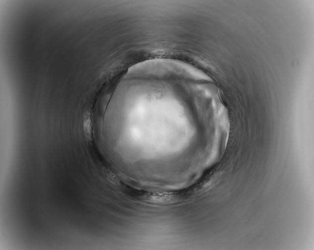 X0000096440720200802141452