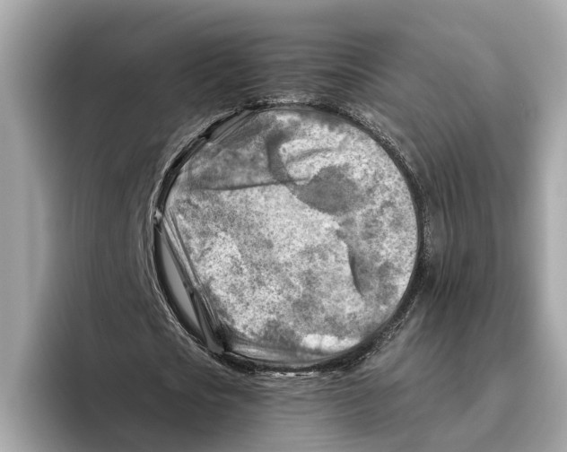 X0000096440721200802141451