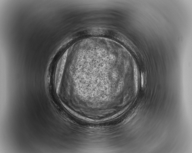 X0000096440723200802141451