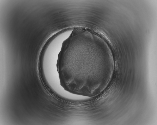 X0000096440724200802141451