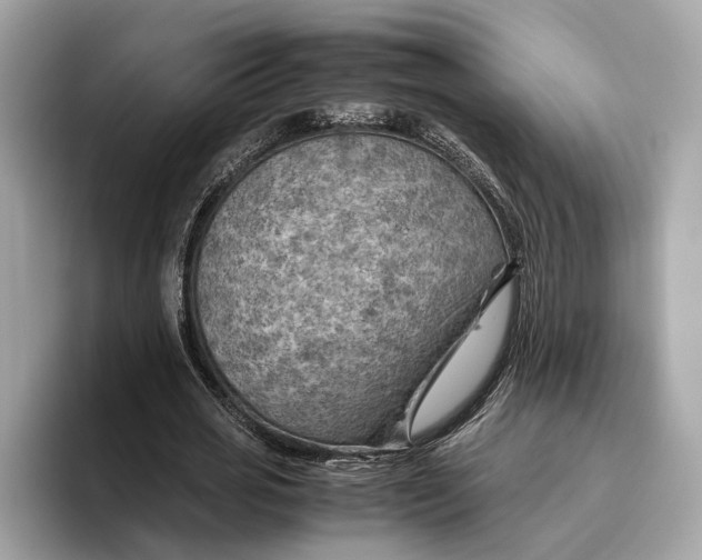 X0000096440725200802141451