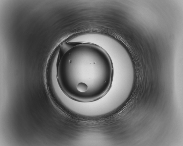 X0000096440726200802141451