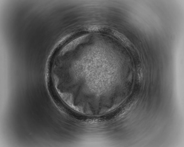 X0000096440728200802141451