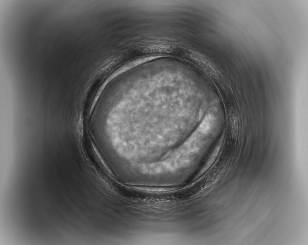 X0000096440729200802141451