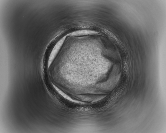 X0000096440730200802141451