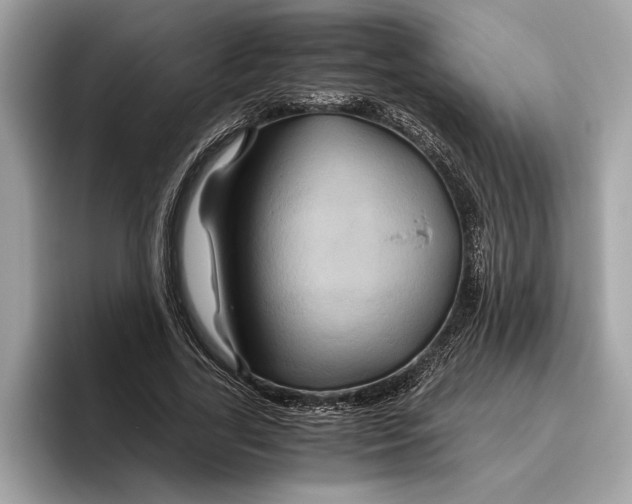 X0000096440731200802141451