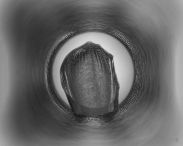 X0000096440732200802141451