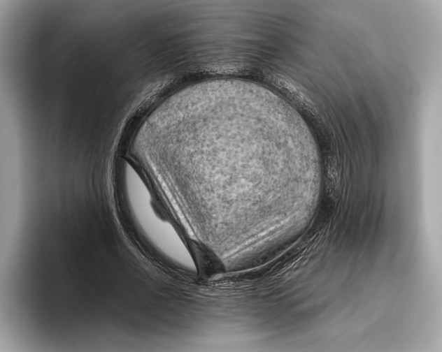 X0000096440734200802141451