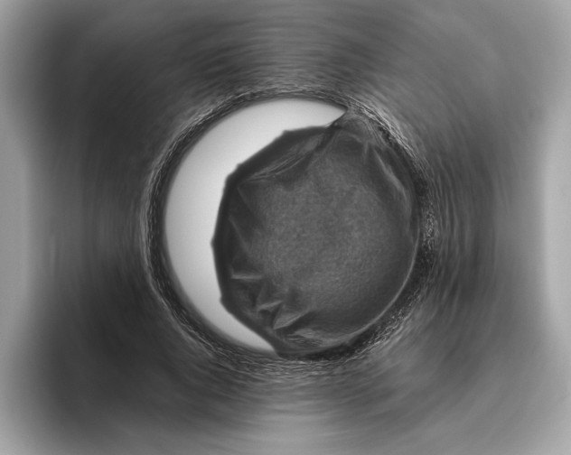 X0000096440736200802141451