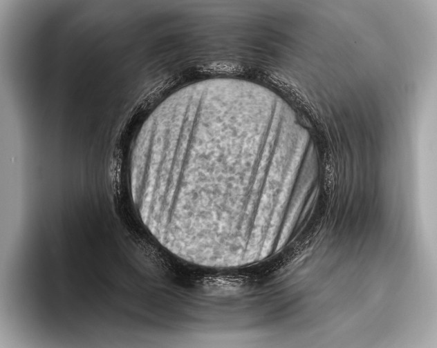 X0000096440739200802141451