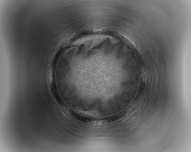 X0000096440740200802141451