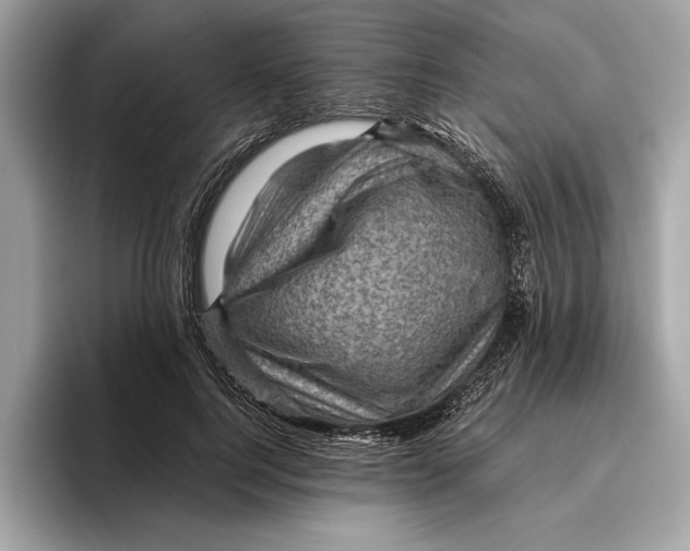 X0000096440744200802141451