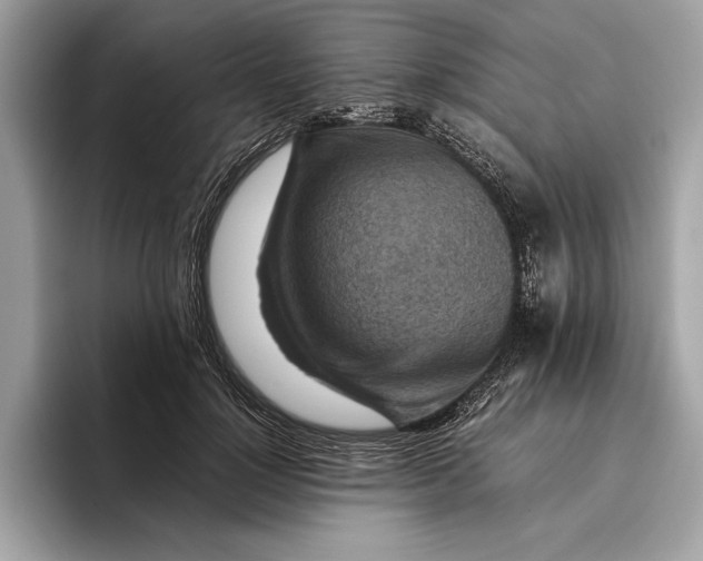 X0000096440748200802141451