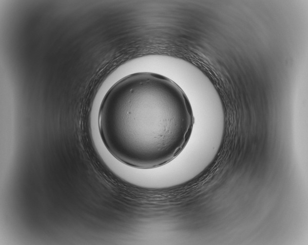 X0000096440750200802141451