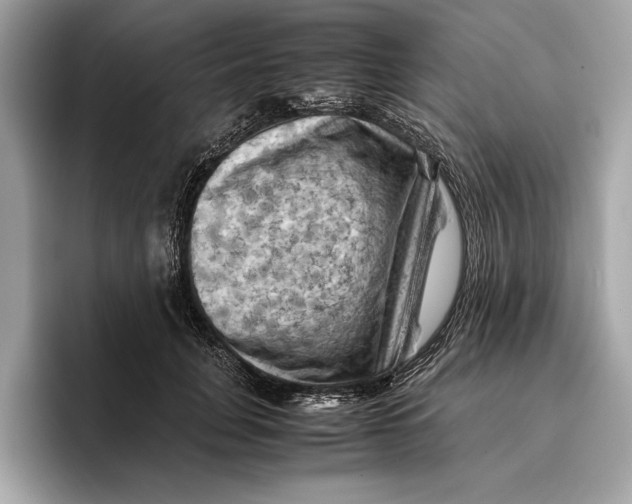 X0000096440751200802141451