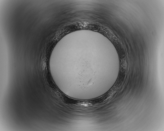 X0000096440754200802141451