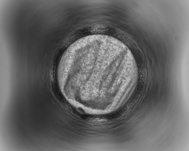 X0000096440755200802141451