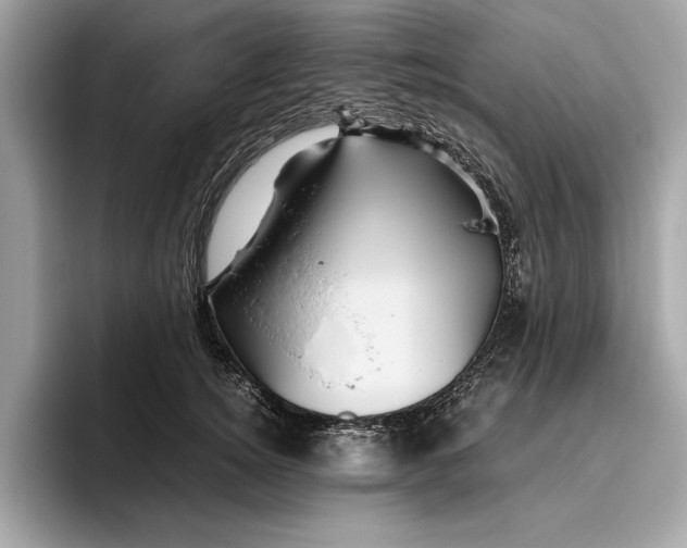 X0000096440756200802141451