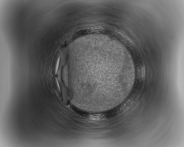 X0000096440757200802141451