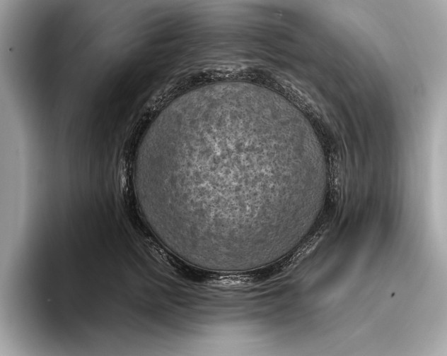 X0000096440758200802141451