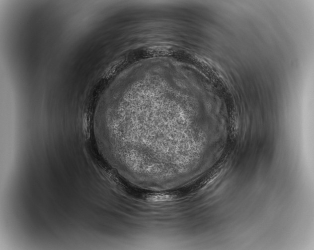 X0000096440759200802141451