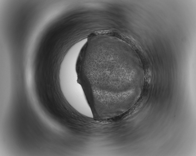 X0000096440763200802141452