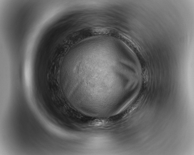 X0000096440764200802141452