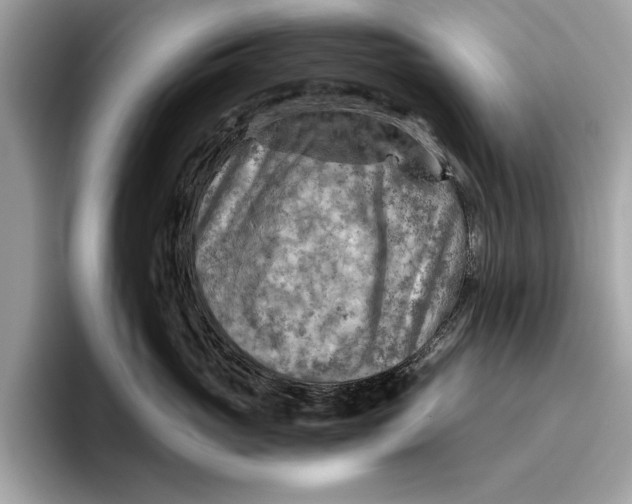 X0000096440765200802141452