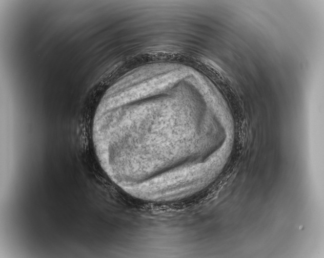 X0000096440774200802141451