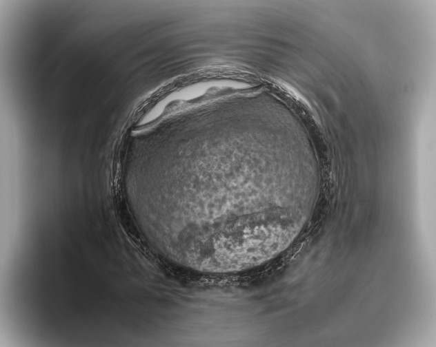 X0000096440775200802141451