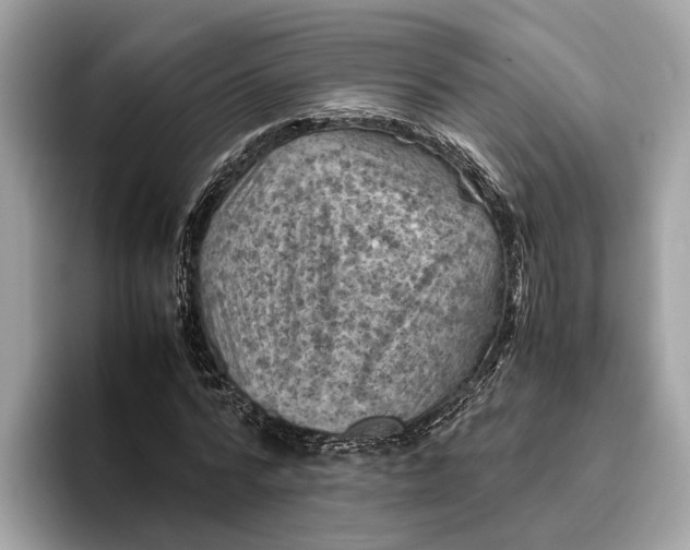 X0000096440776200802141451