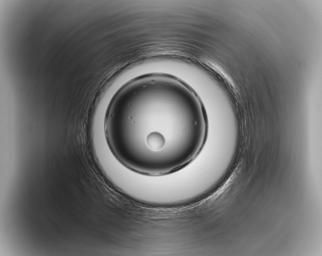 X0000096440777200802141451