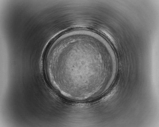 X0000096440779200802141451