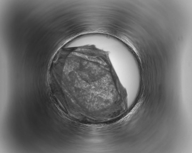 X0000096440781200802141451