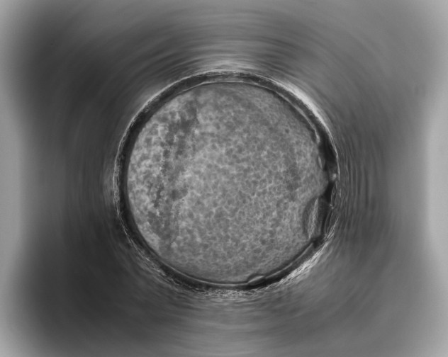 X0000096440783200802141451