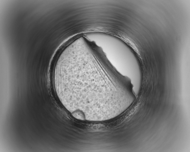 X0000096440784200802141451