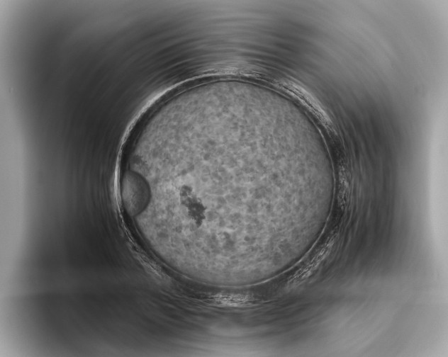 X0000096440788200802141451